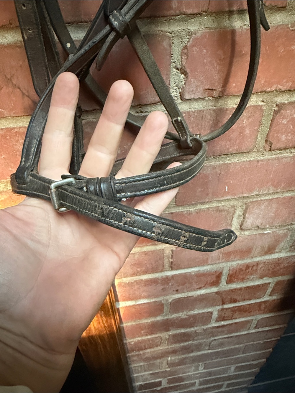 Vintage Crosby English Headstall - Picture 10 of 14